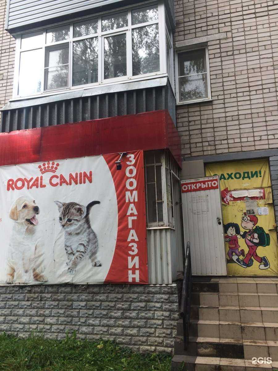 Отзывы на компанию Кошки-Мышки в г. Вологда c фото