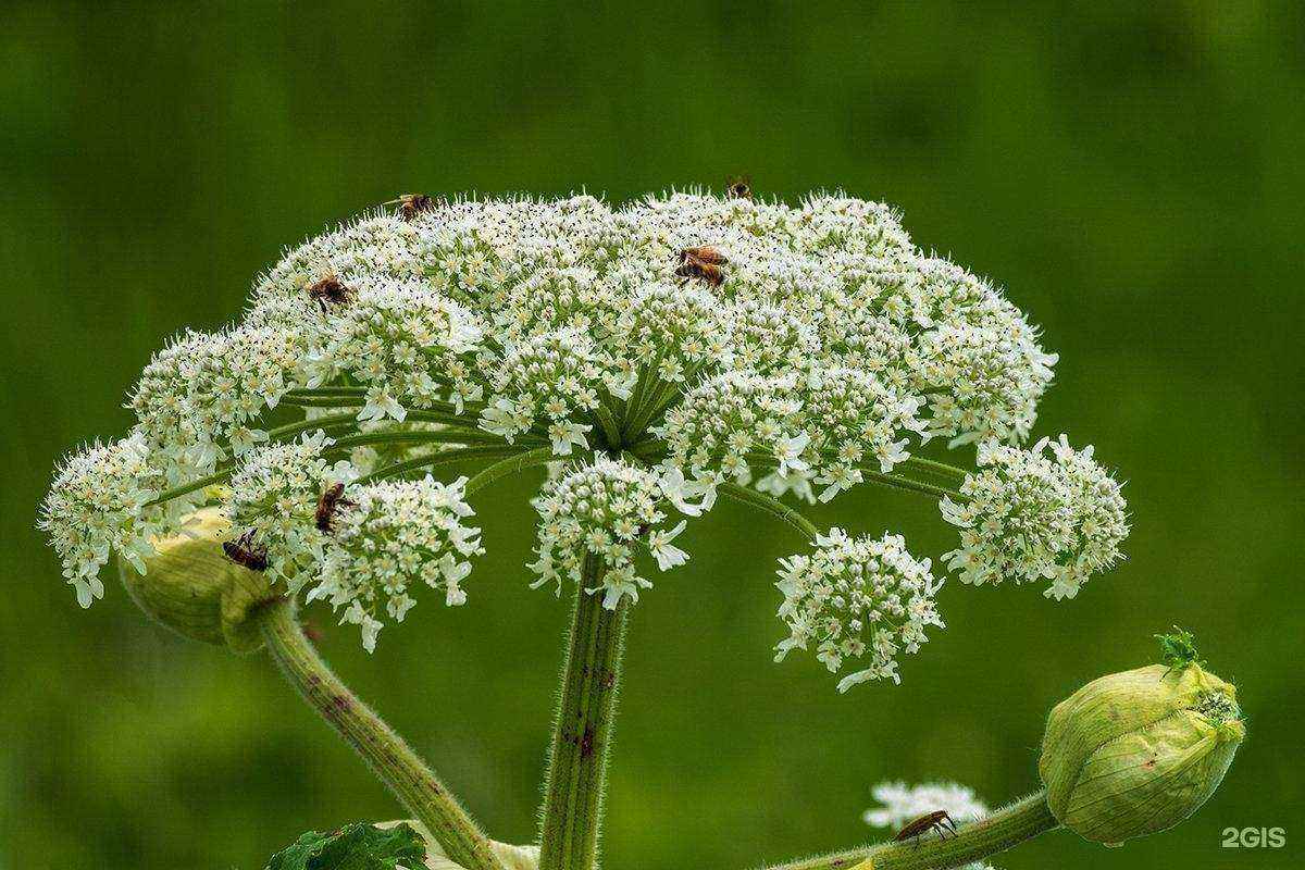 Отзывы на компанию Ваше хозяйство в г. Нижний Новгород c фото