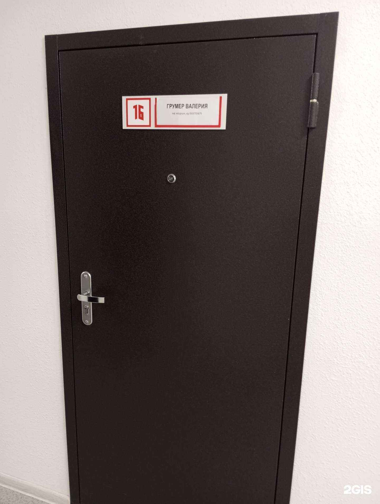 Отзывы на компанию Студия груминга в г. Волгоград c фото