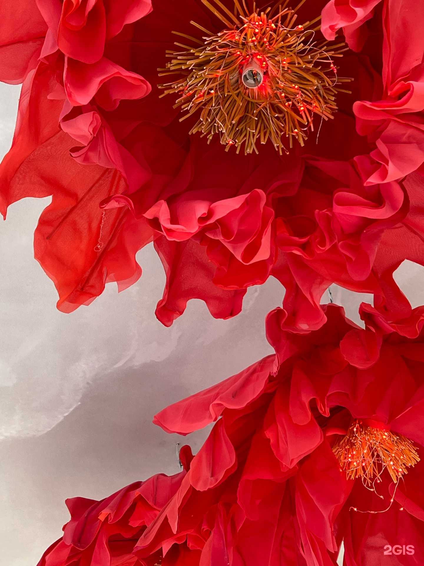 Отзывы на компанию Intenso в Новосибирске c фото