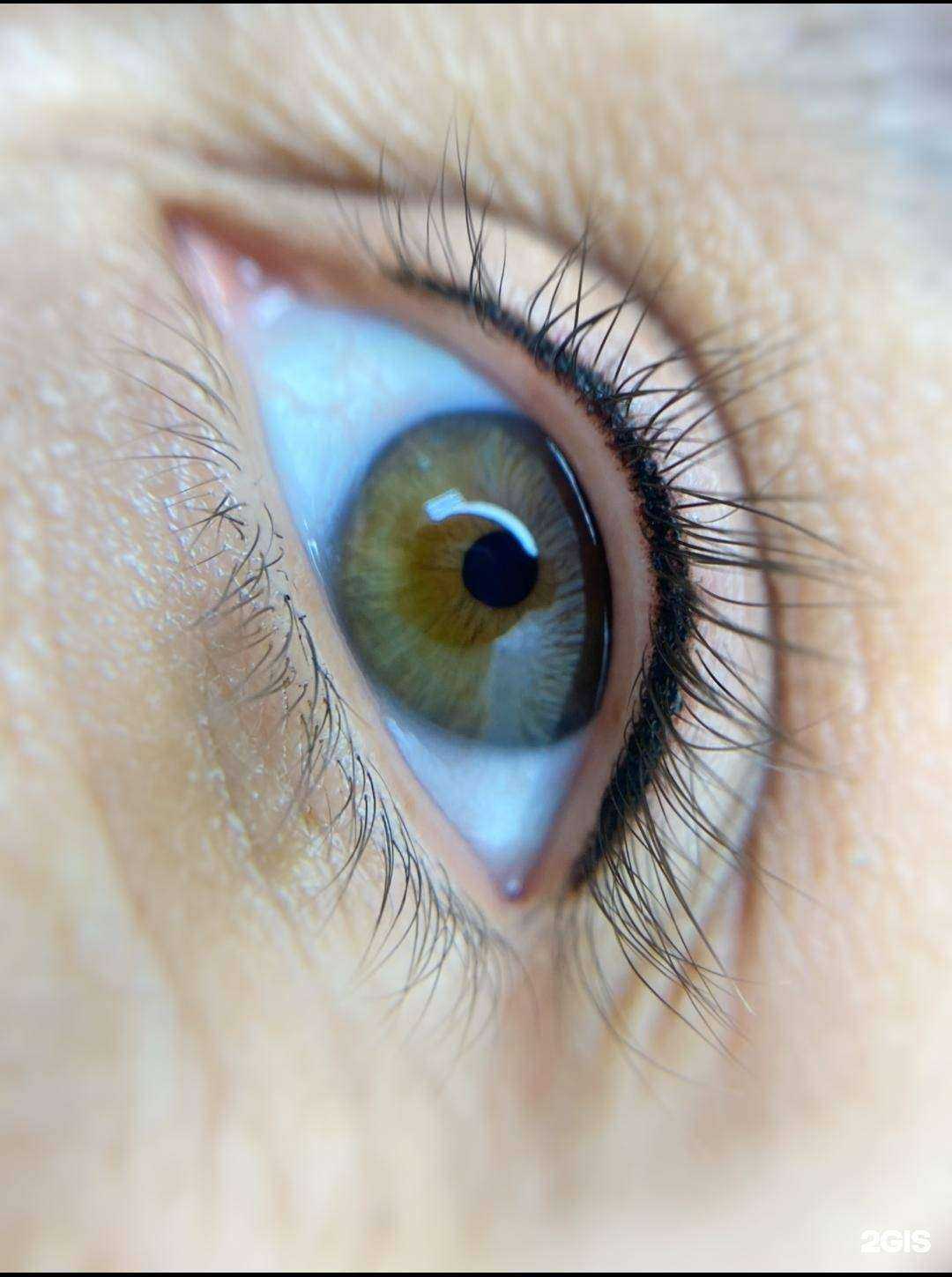 Отзывы на компанию Студия красоты Татьяны Никольской в г. Кемерово c фото