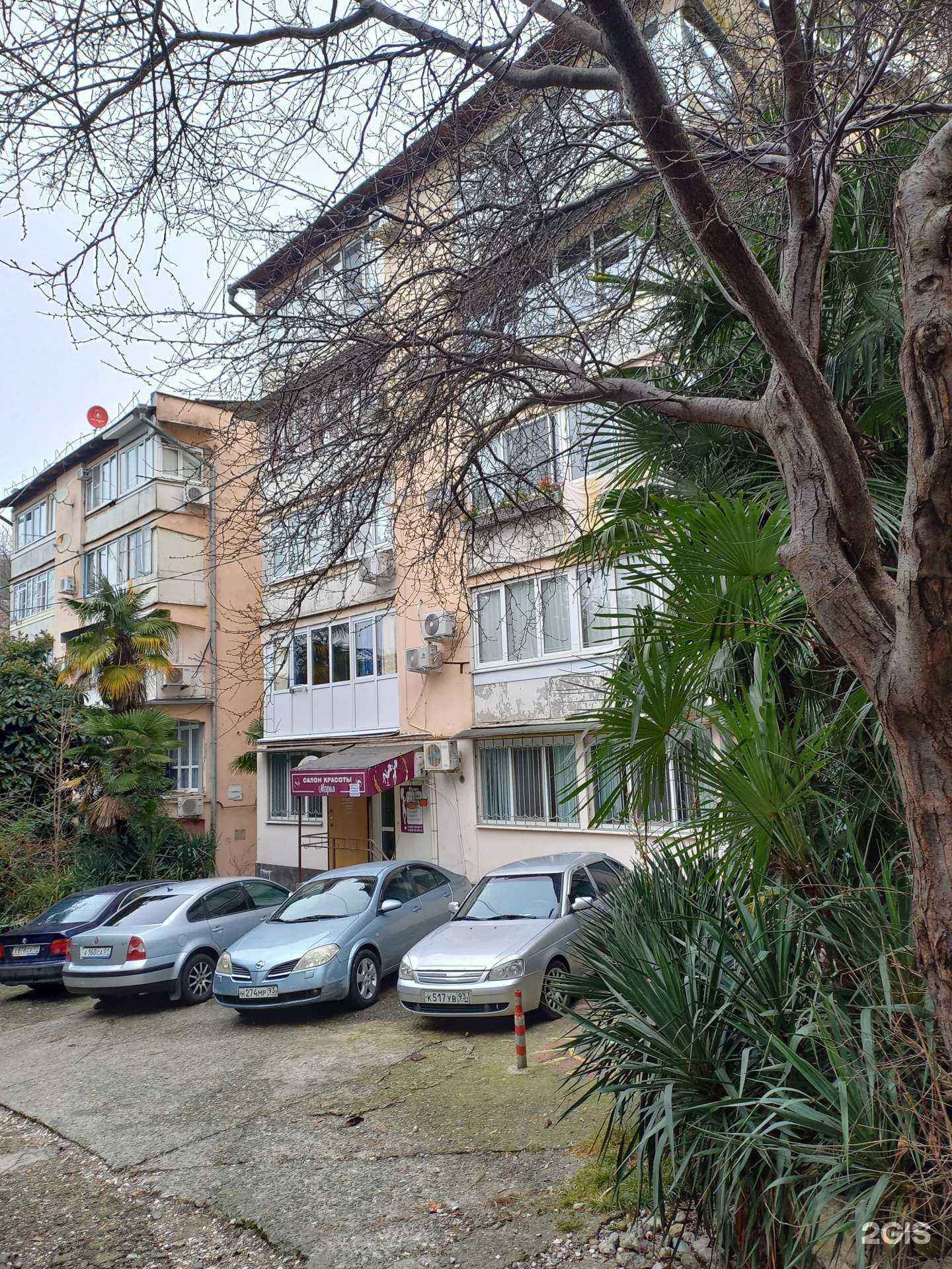 Отзывы на компанию Детки конфетки в г. Сочи c фото