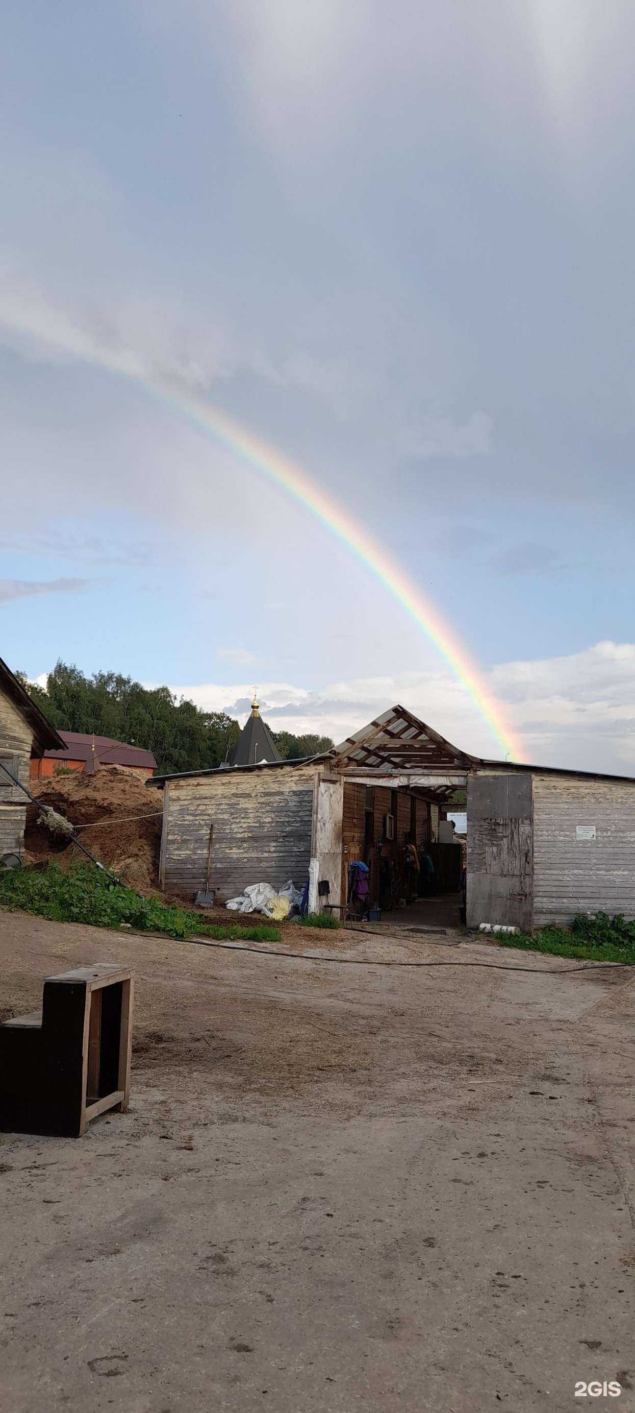 Отзывы на компанию Конный-прокат РФ в Дзержинском c фото