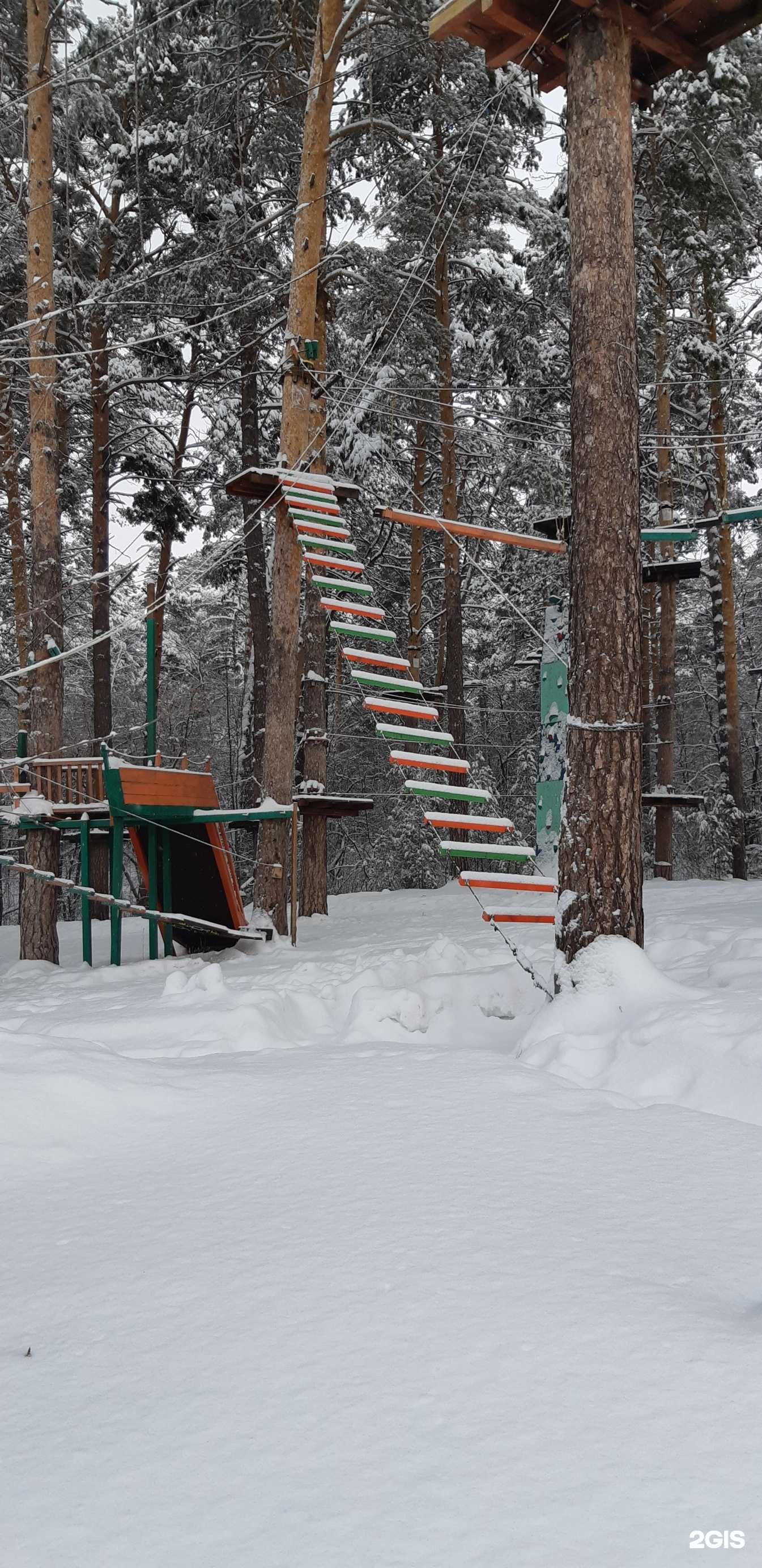 Отзывы на компанию Джунгли в Барнауле c фото