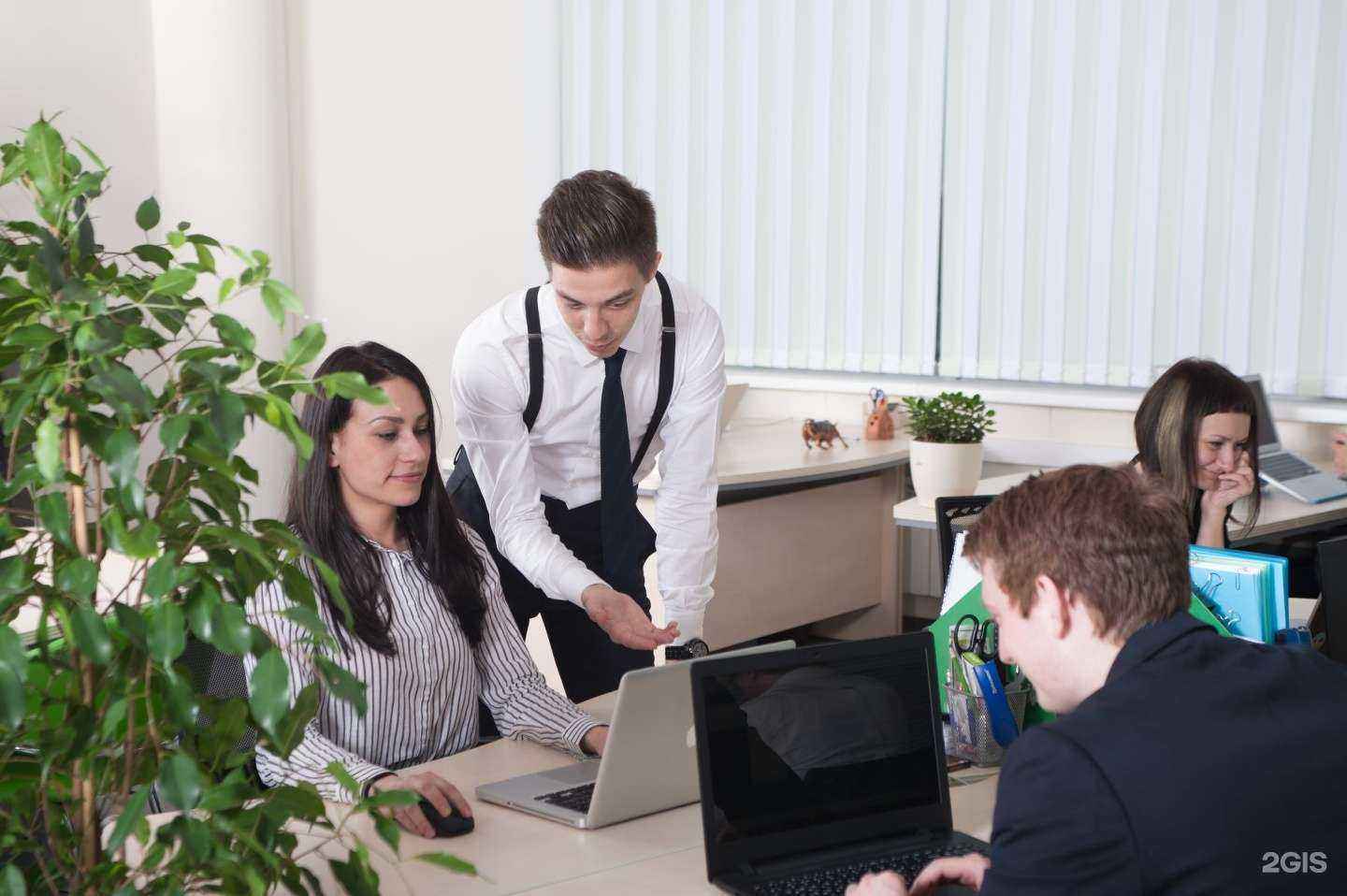 Отзывы на компанию Твой учёт в г. Краснодар c фото