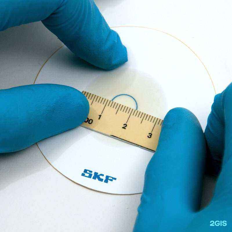 Отзывы на компанию Абсолют в Нижнем Новгороде c фото