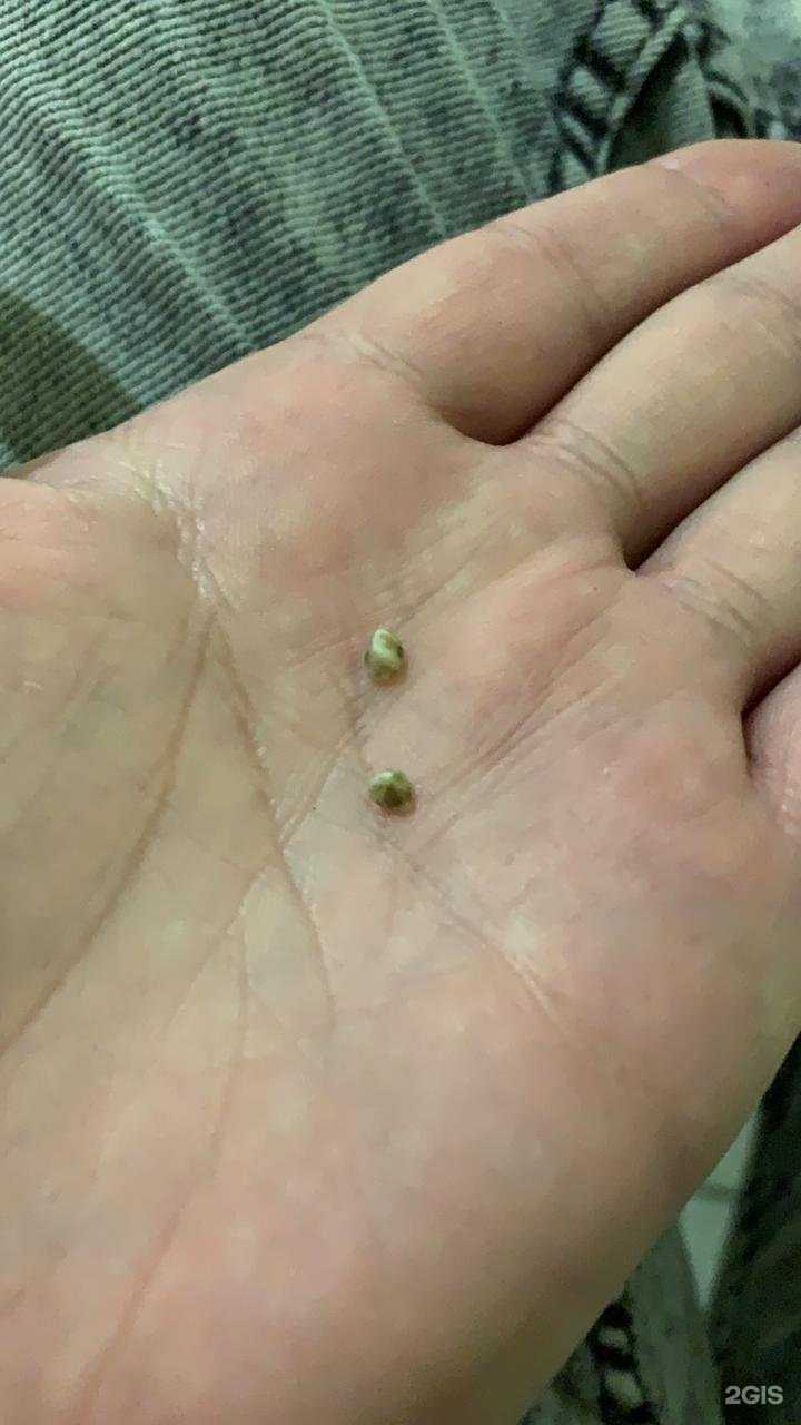 Отзывы на компанию Восточная кухня в Курске c фото