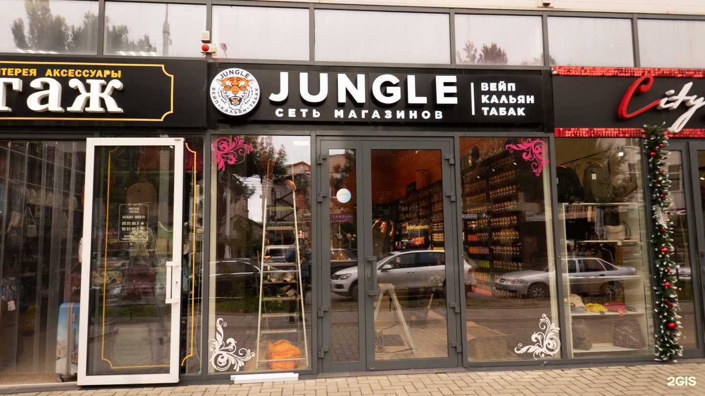 Отзывы на компанию Jungle в Анапе c фото