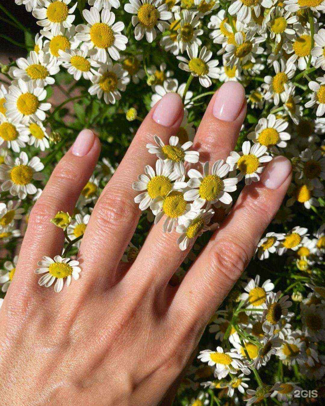 Отзывы на компанию Victoria Miller в Новочеркасске c фото