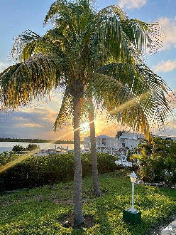 Отзывы на компанию Traveldiscounter в Набережных Челнах c фото