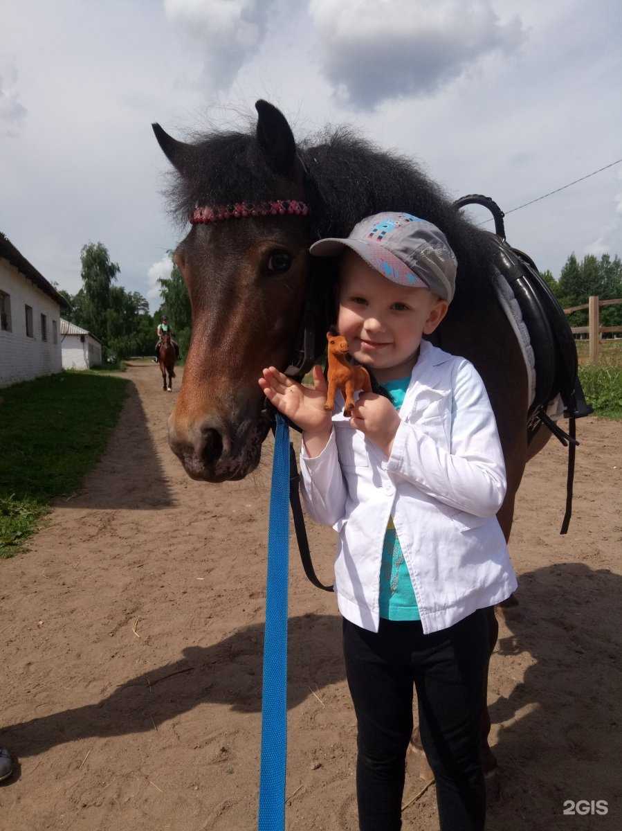 Отзывы на компанию Дольче Вита в Ижевске c фото