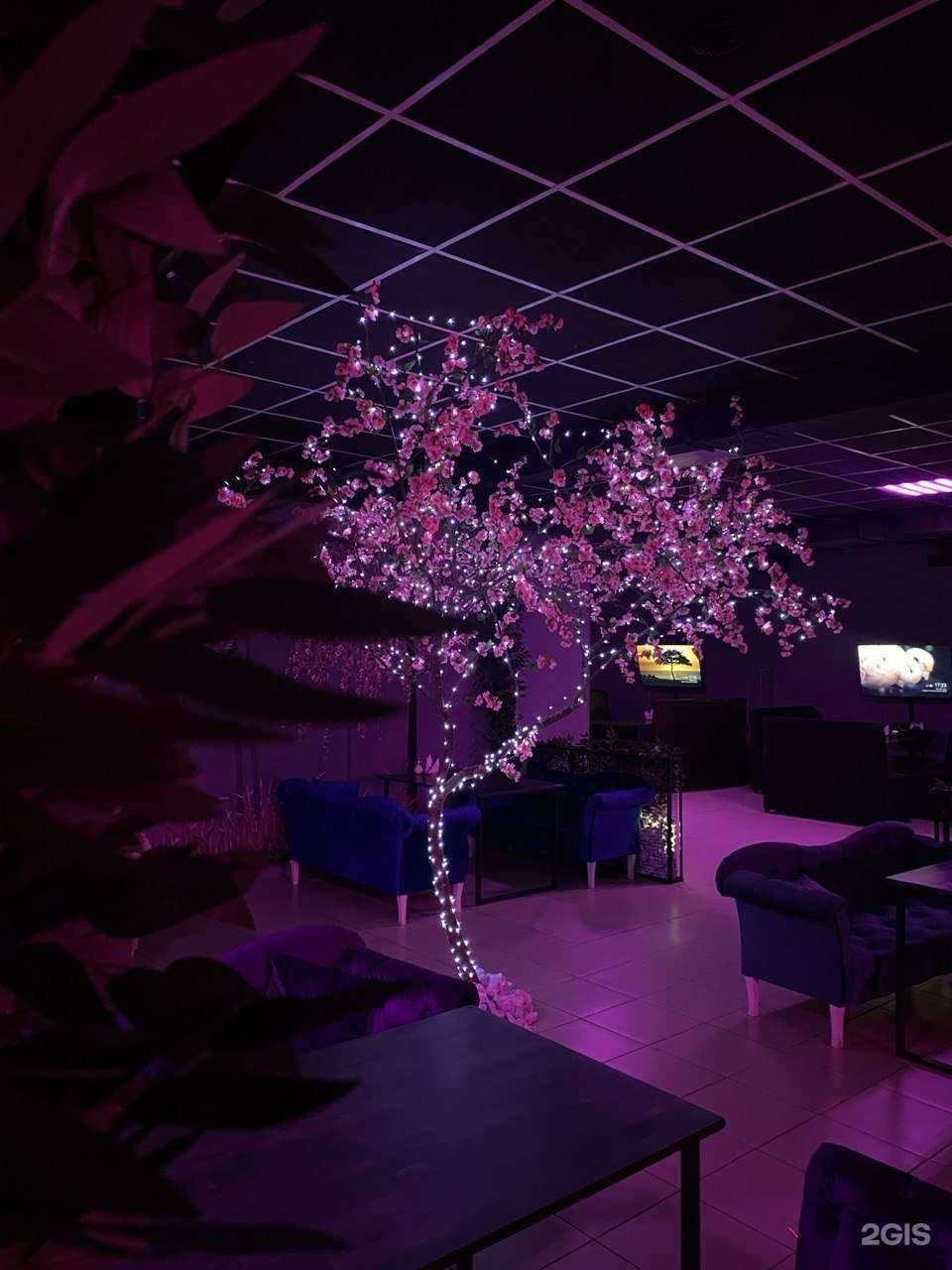 Отзывы на компанию Sakura в г. Йошкар-Ола c фото