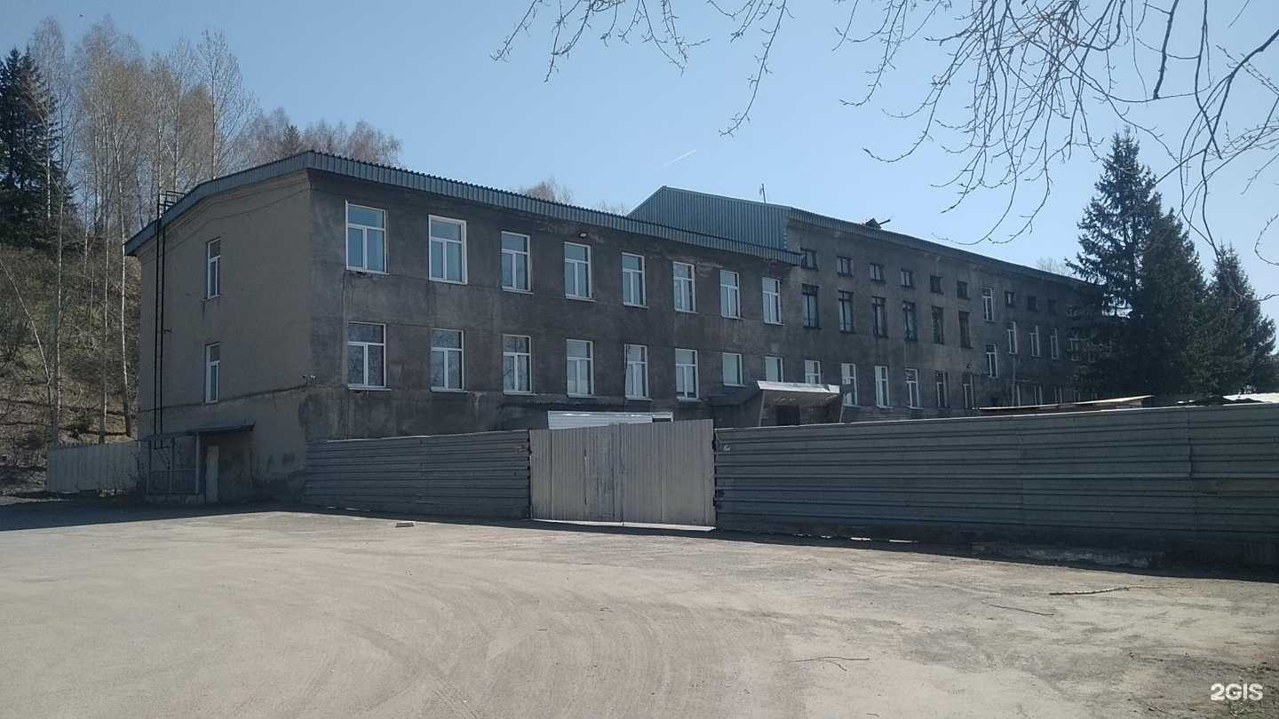 Отзывы на компанию Четыре Лапы в Кемерове c фото - фотография 2 из 2