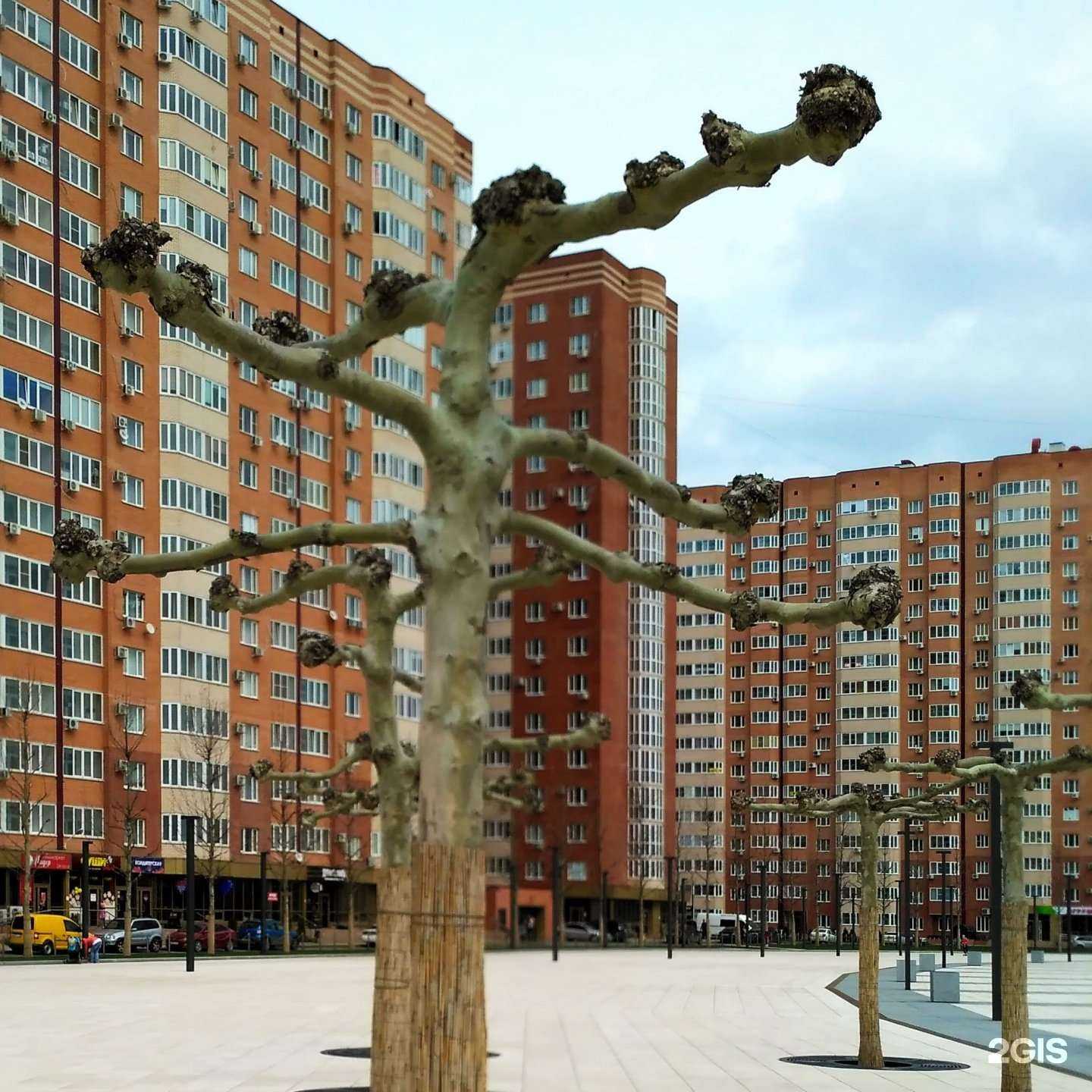 Отзывы на компанию Kult в Краснодаре c фото