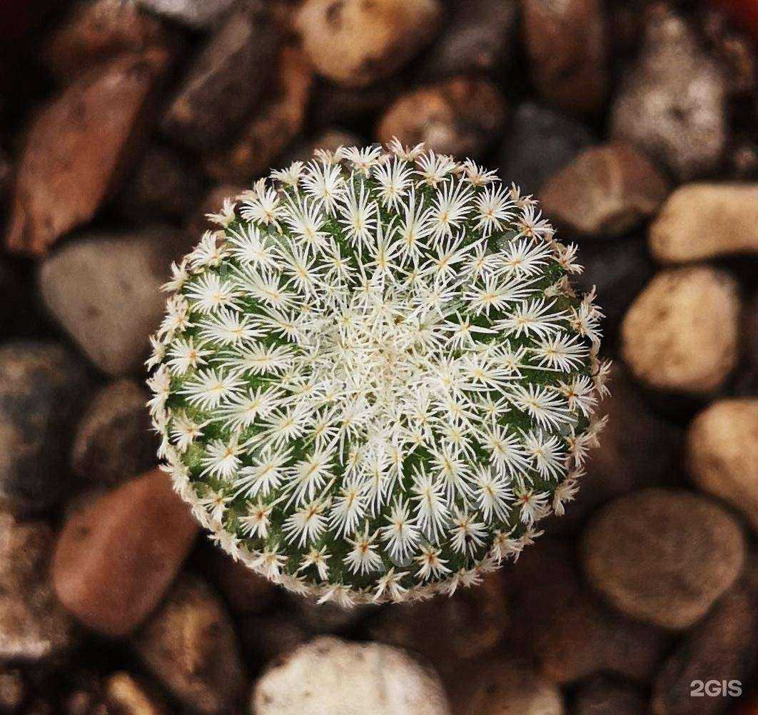 Отзывы на компанию Аквапозитив в г. Екатеринбург c фото