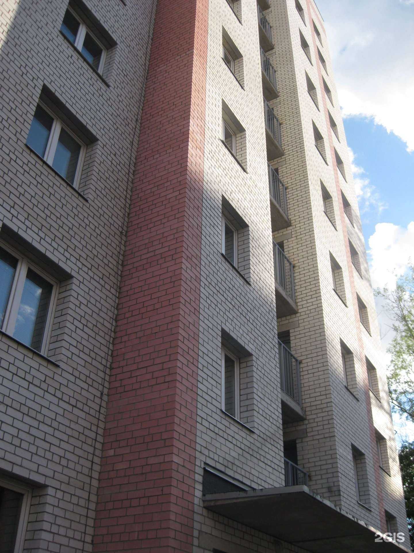 Отзывы на компанию Алоэ в Ярославле c фото - фотография 2 из 2