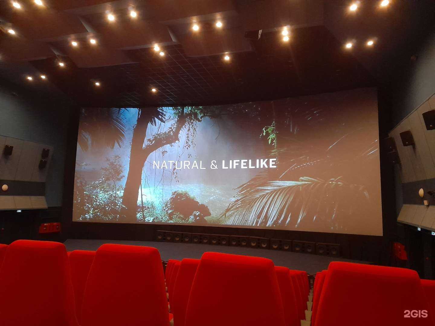 Отзывы на компанию Луч в Красноярске c фото