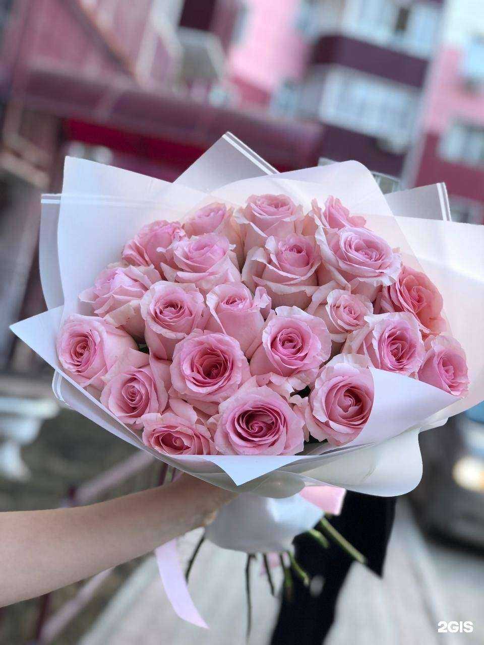 Отзывы на компанию Holiday в Якутске c фото