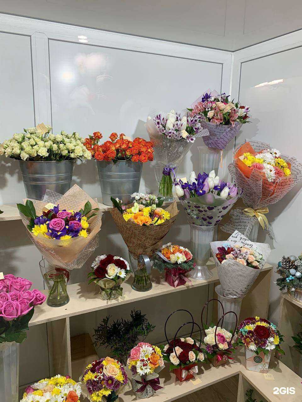 Отзывы на компанию Аврора в г. Краснодар c фото