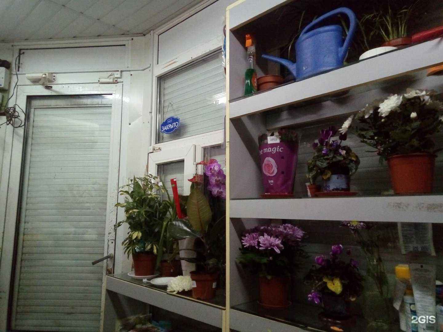 Отзывы на компанию Салон цветов в Уфе c фото