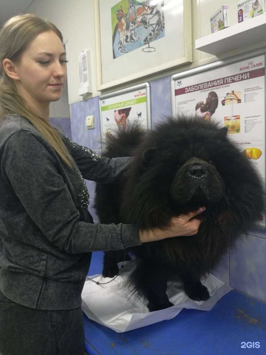 Отзывы на компанию Доверие в Краснодаре c фото