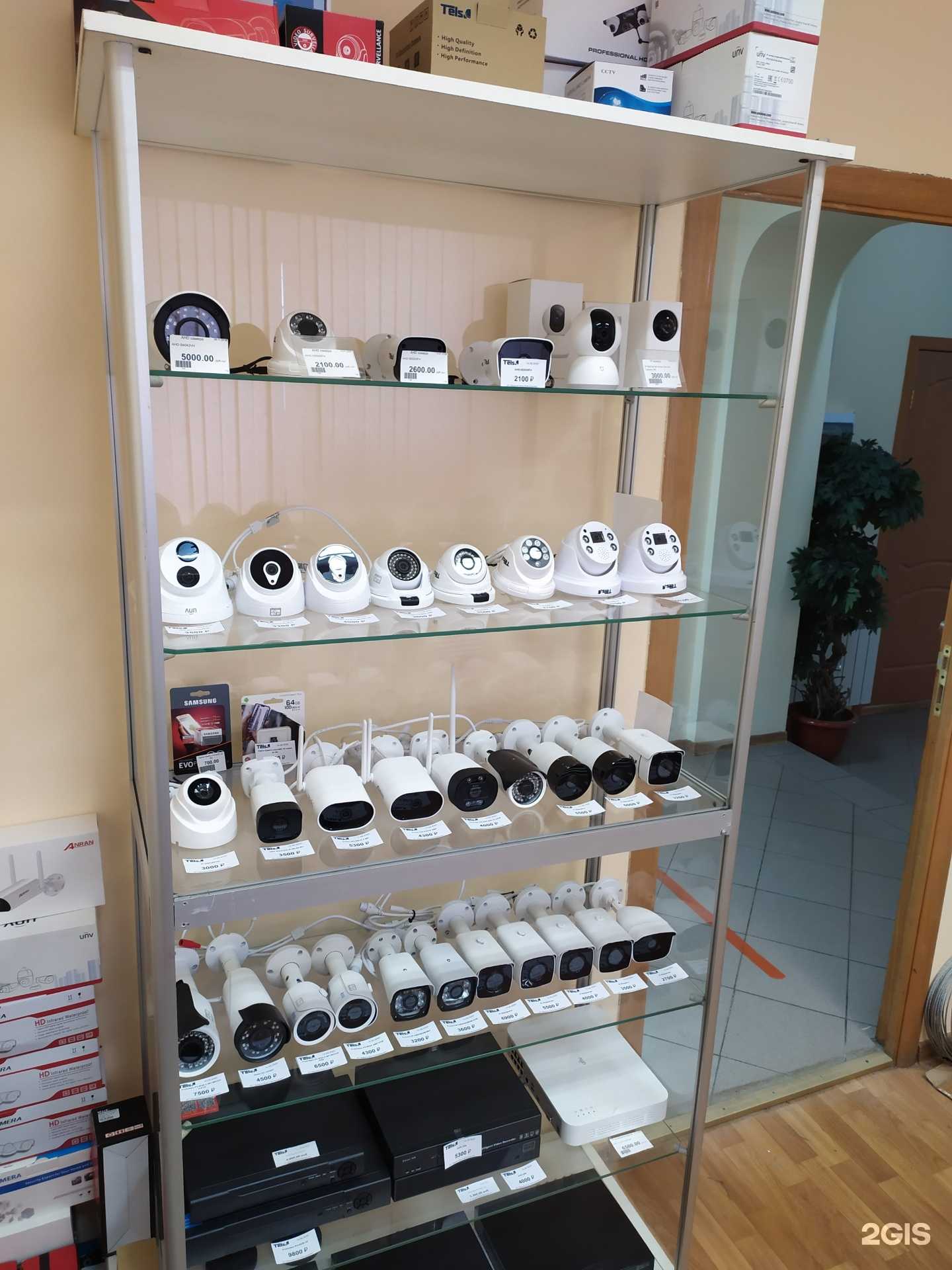 Отзывы на компанию Tels в г. Коломна c фото