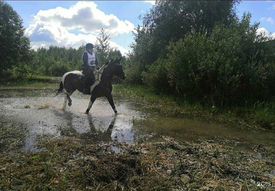 Отзывы на компанию Аврора в Сыктывкаре c фото