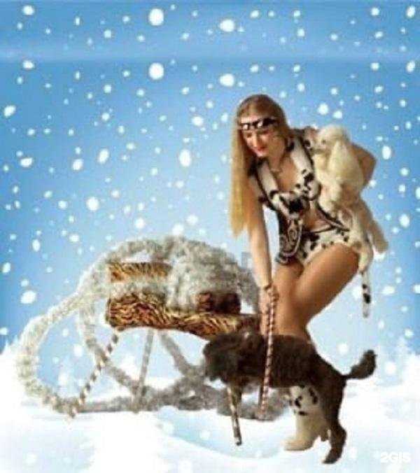 Отзывы на компанию Такса и Ко в Челябинске c фото