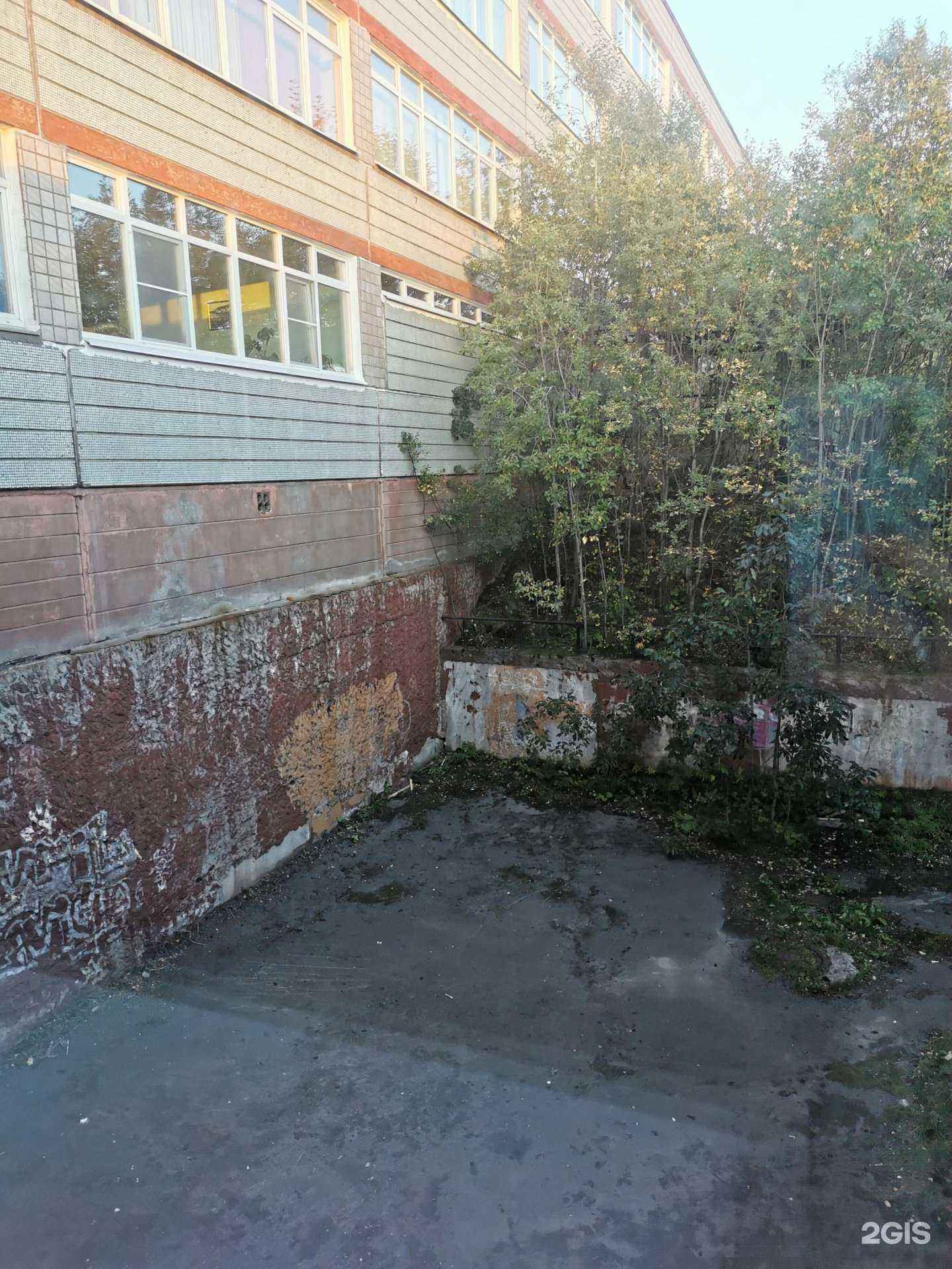 Отзывы на компанию Средняя школа №56 в г. Мурманск c фото