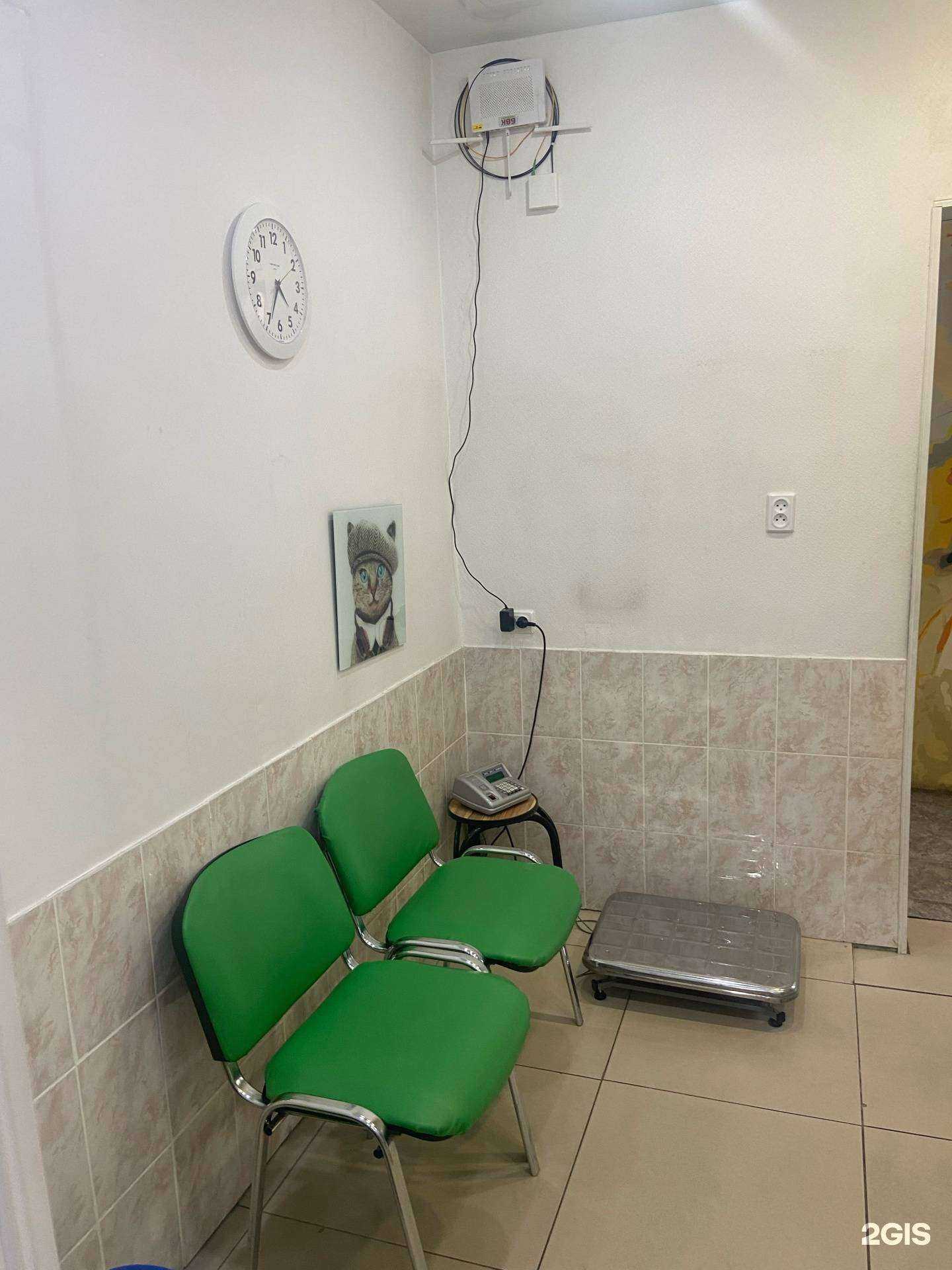 Отзывы на компанию Ветклиника и аптека в Иркутске c фото