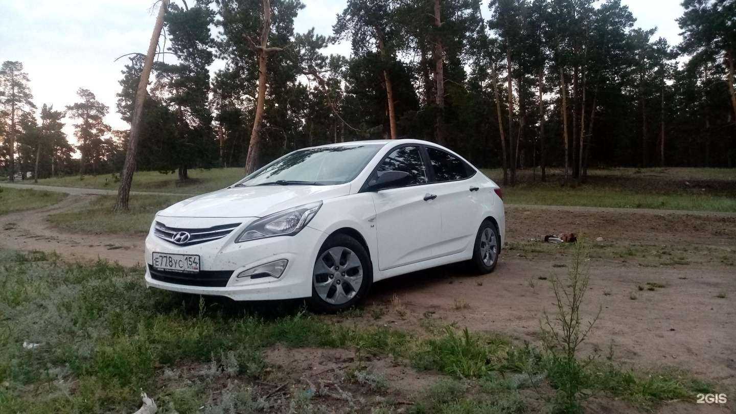 Отзывы на компанию Максимум в г. Новосибирск c фото