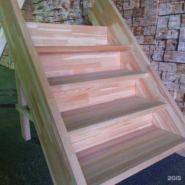 Отзывы на компанию Живая планета в Новосибирске c фото