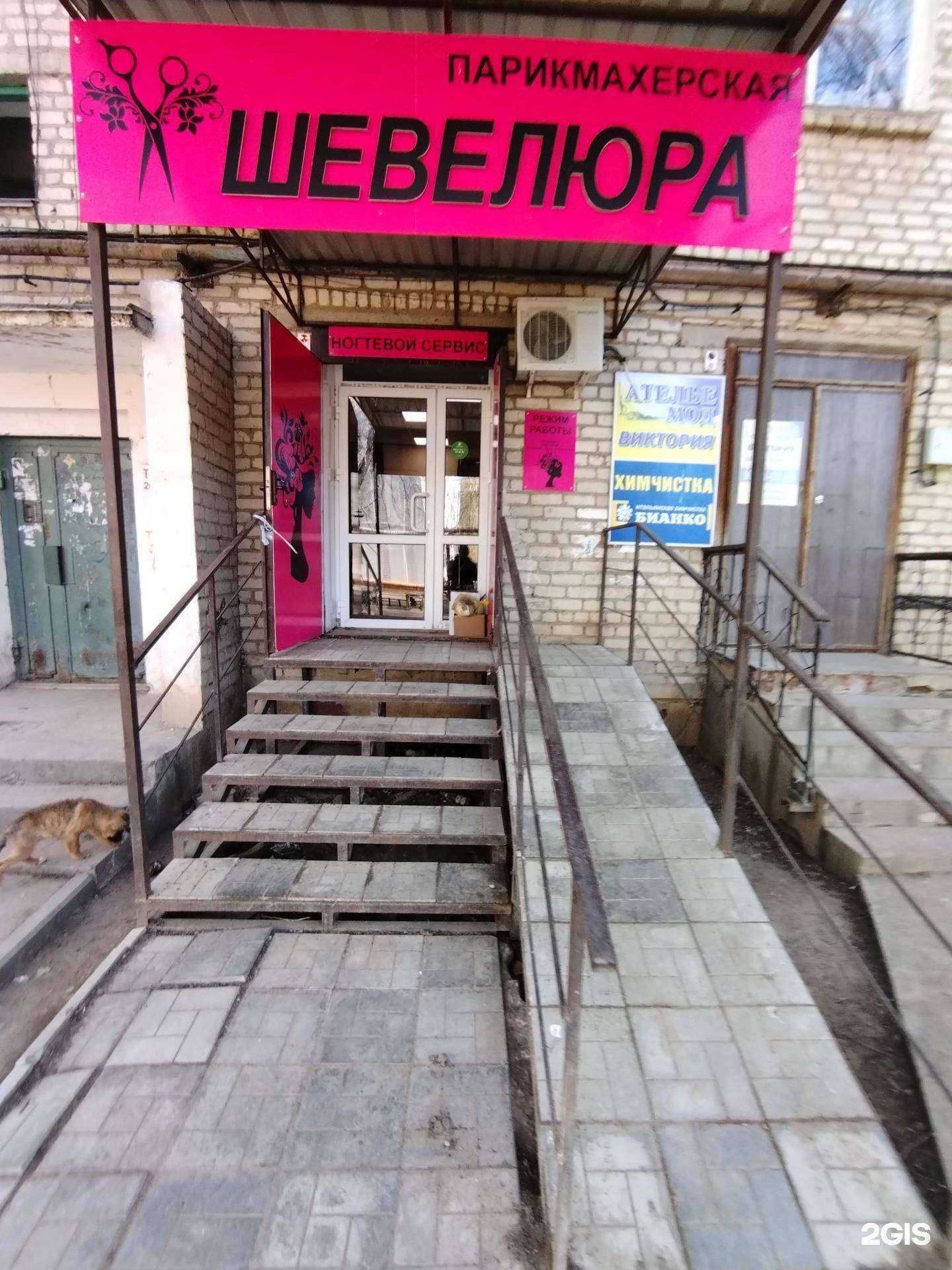 Отзывы на компанию Шевелюра в г. Астрахань c фото