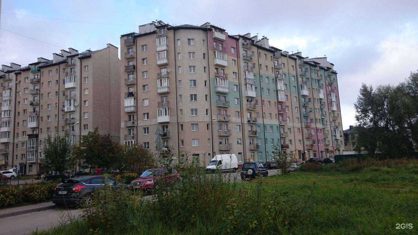 Отзывы на компанию Veranda Flower в Калининграде c фото - фотография 2 из 2