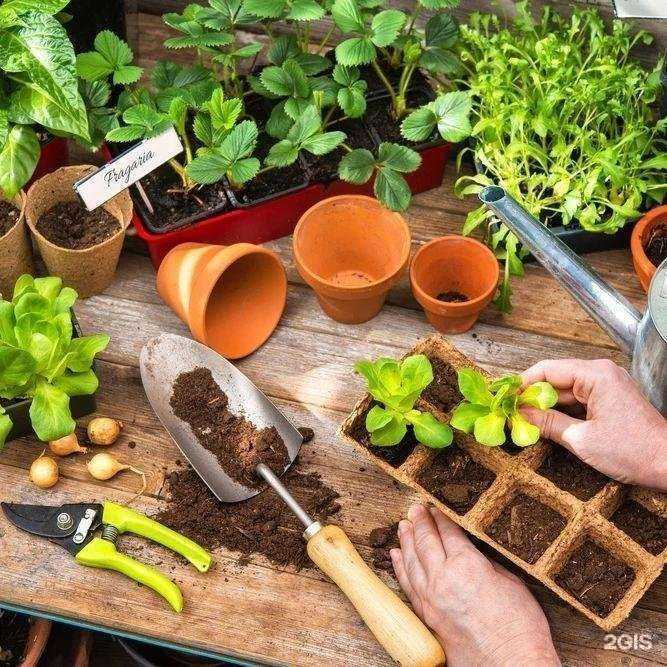 Отзывы на компанию Boxberry в Муроме c фото