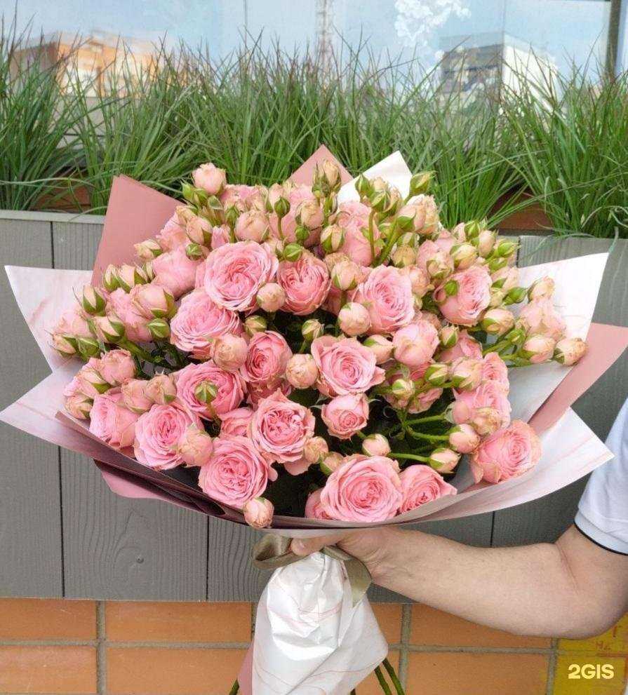 Отзывы на компанию Машенька в г. Смоленск c фото