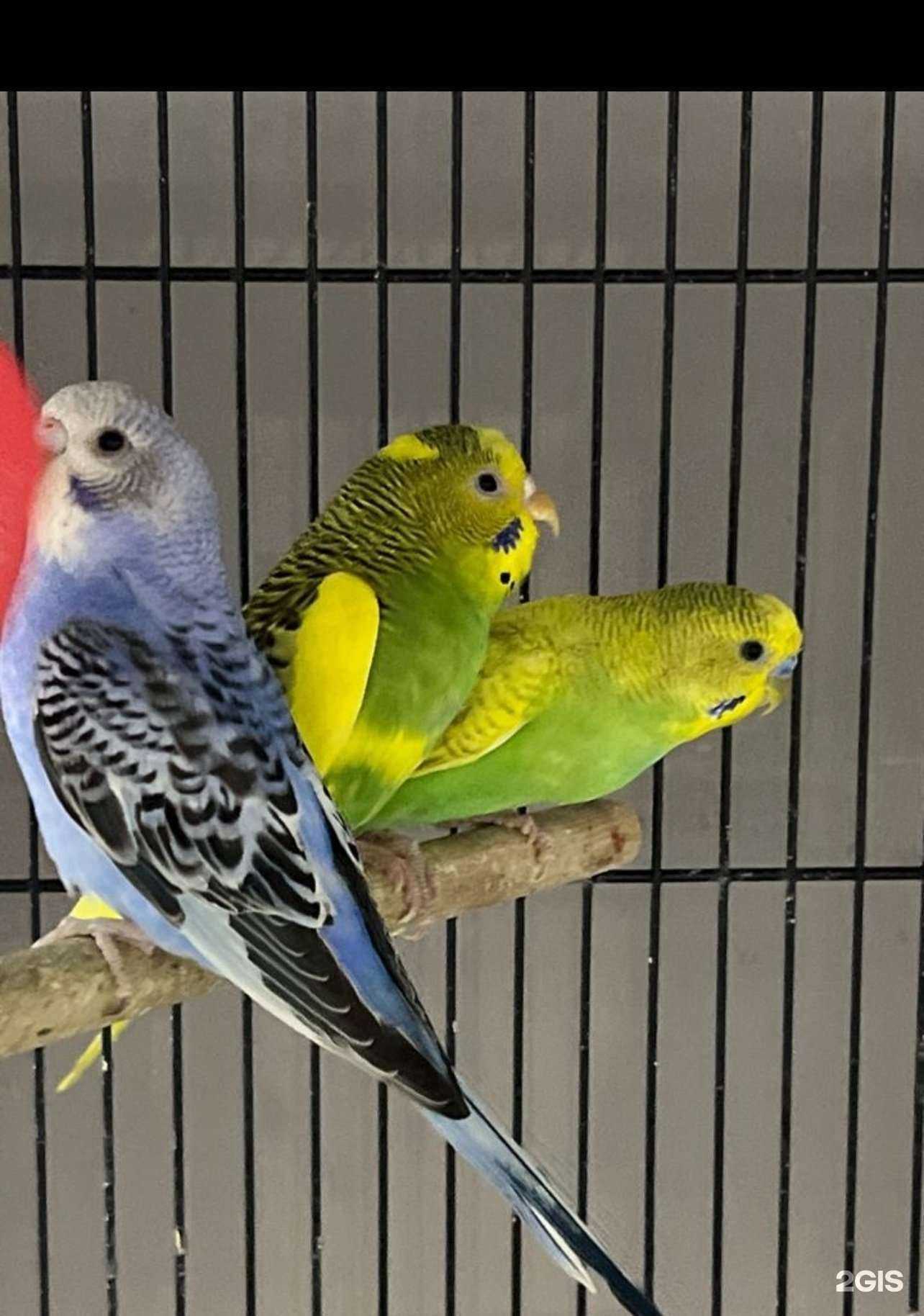 Отзывы на компанию Престиж в г. Казань c фото