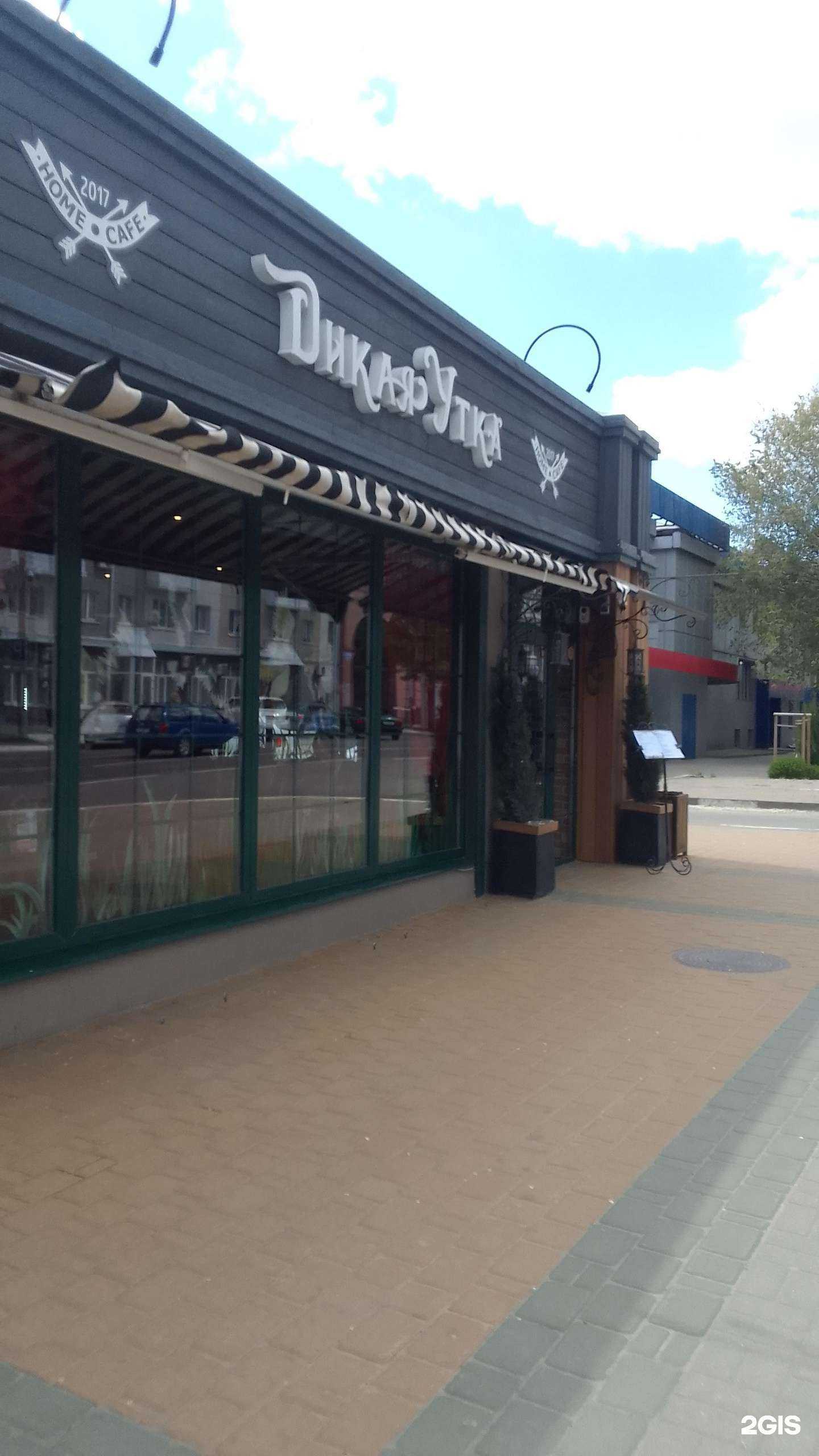 Отзывы на компанию Lucky Ducky в Белгороде c фото