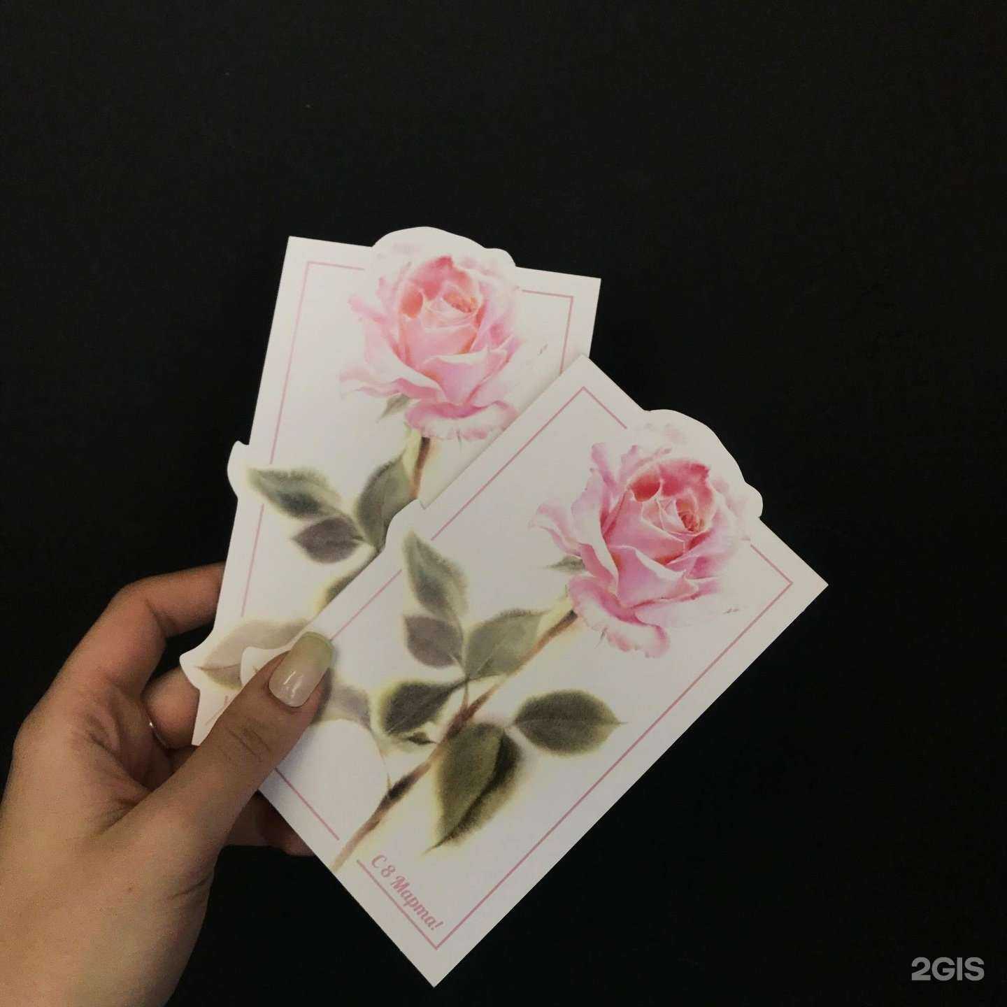 Отзывы на компанию Квадра-Т в Воронеже c фото