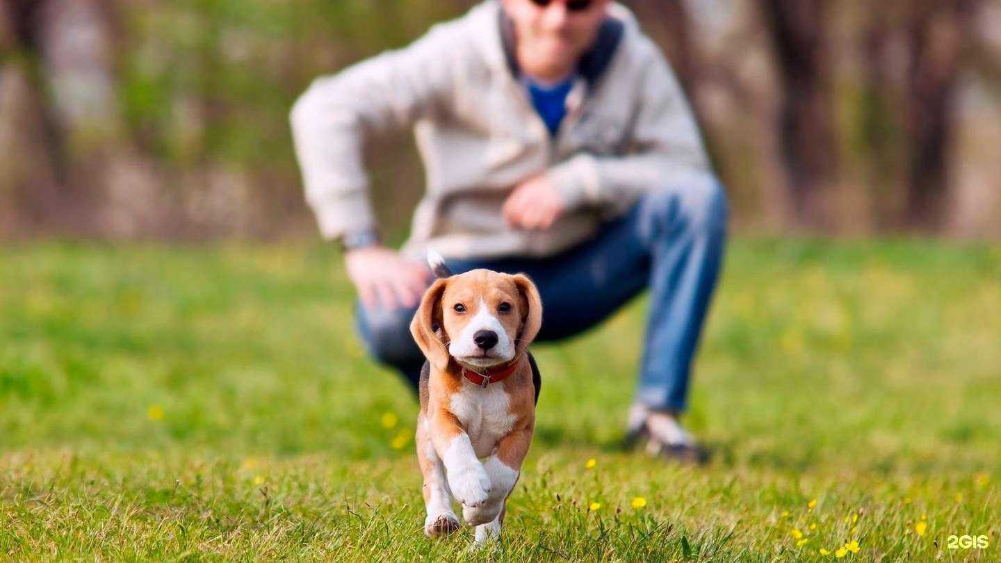 Отзывы на компанию Локус в Челябинске c фото