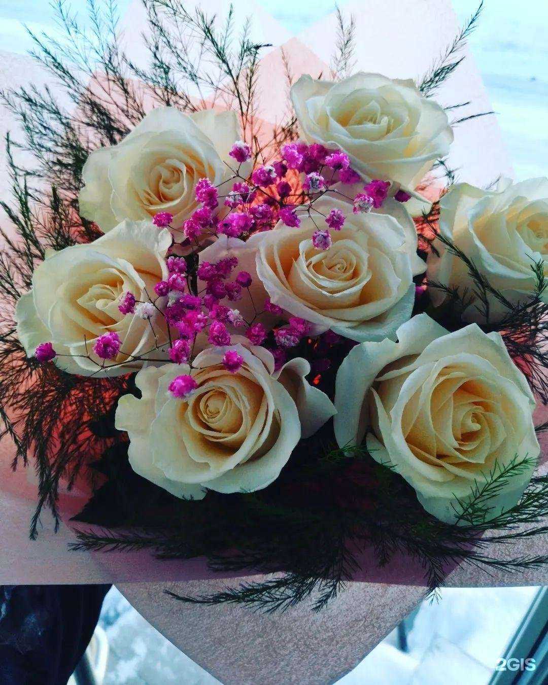 Отзывы на компанию Валерия в Кировске c фото