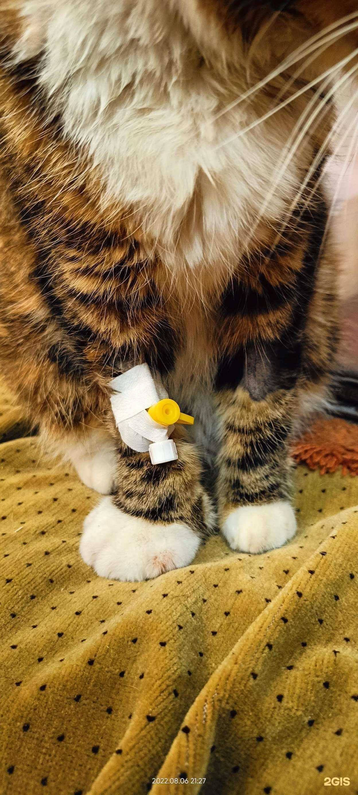 Отзывы на компанию Медвет в г. Стерлитамак c фото