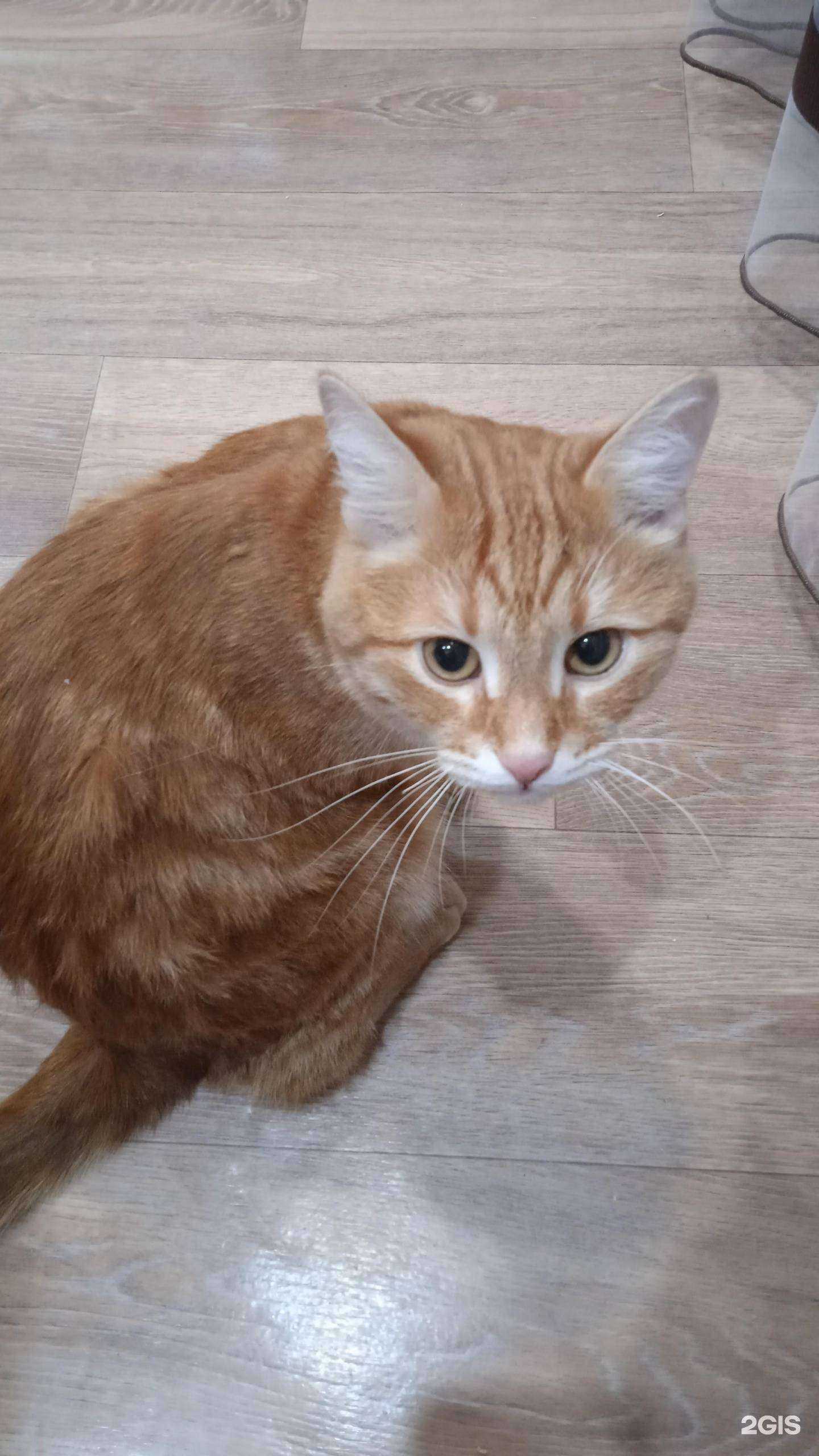 Отзывы на компанию Ветдоктор в г. Набережные Челны c фото