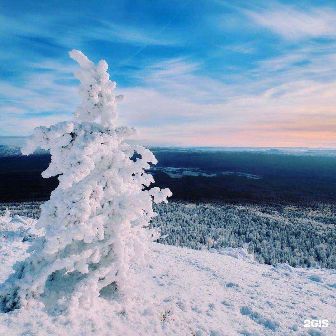 Отзывы на компанию Компас тур в Уфе c фото