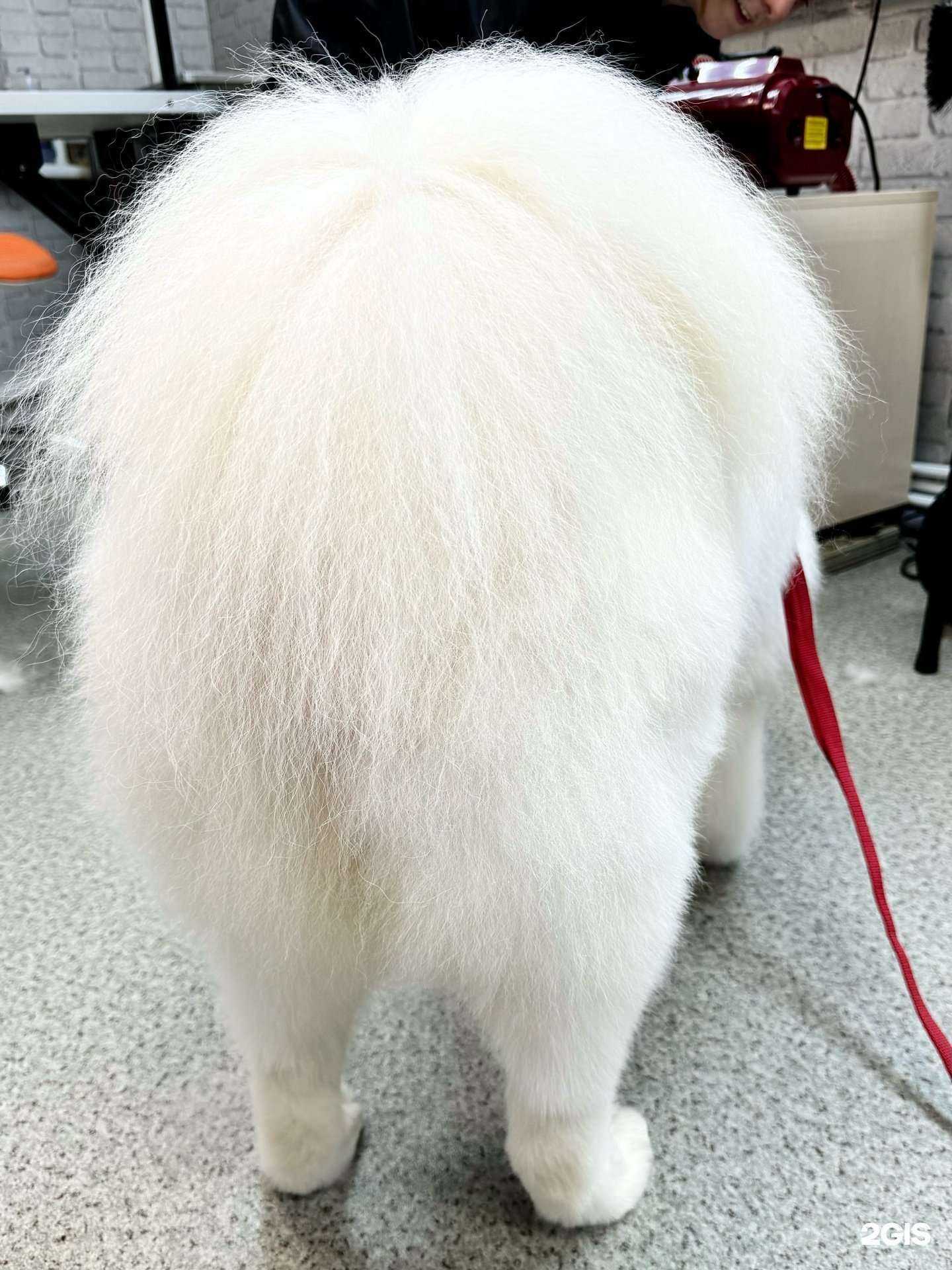 Отзывы на компанию Рыжик в г. Тольятти c фото