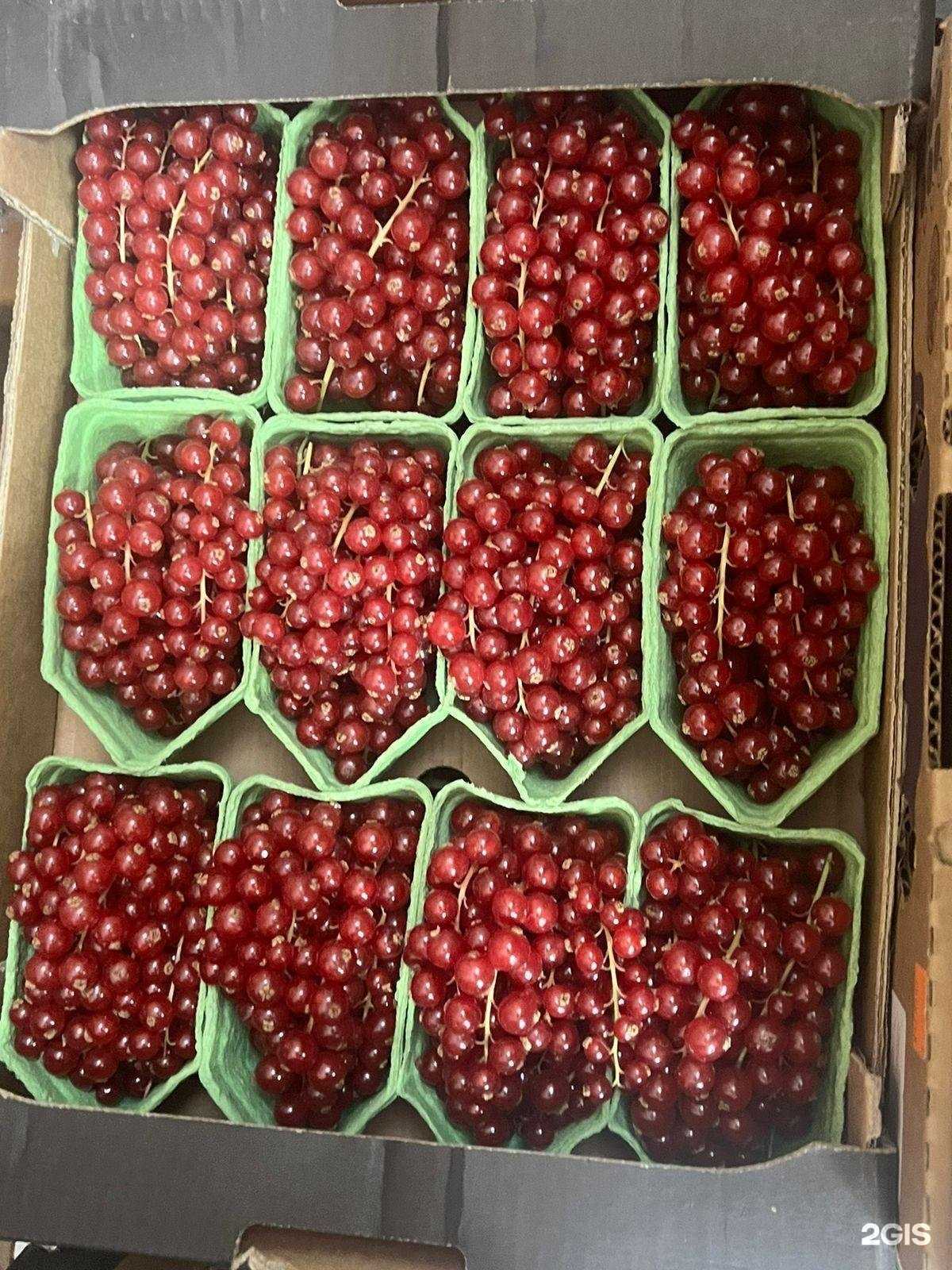 Отзывы на компанию Yagoda malina в г. Владивосток c фото