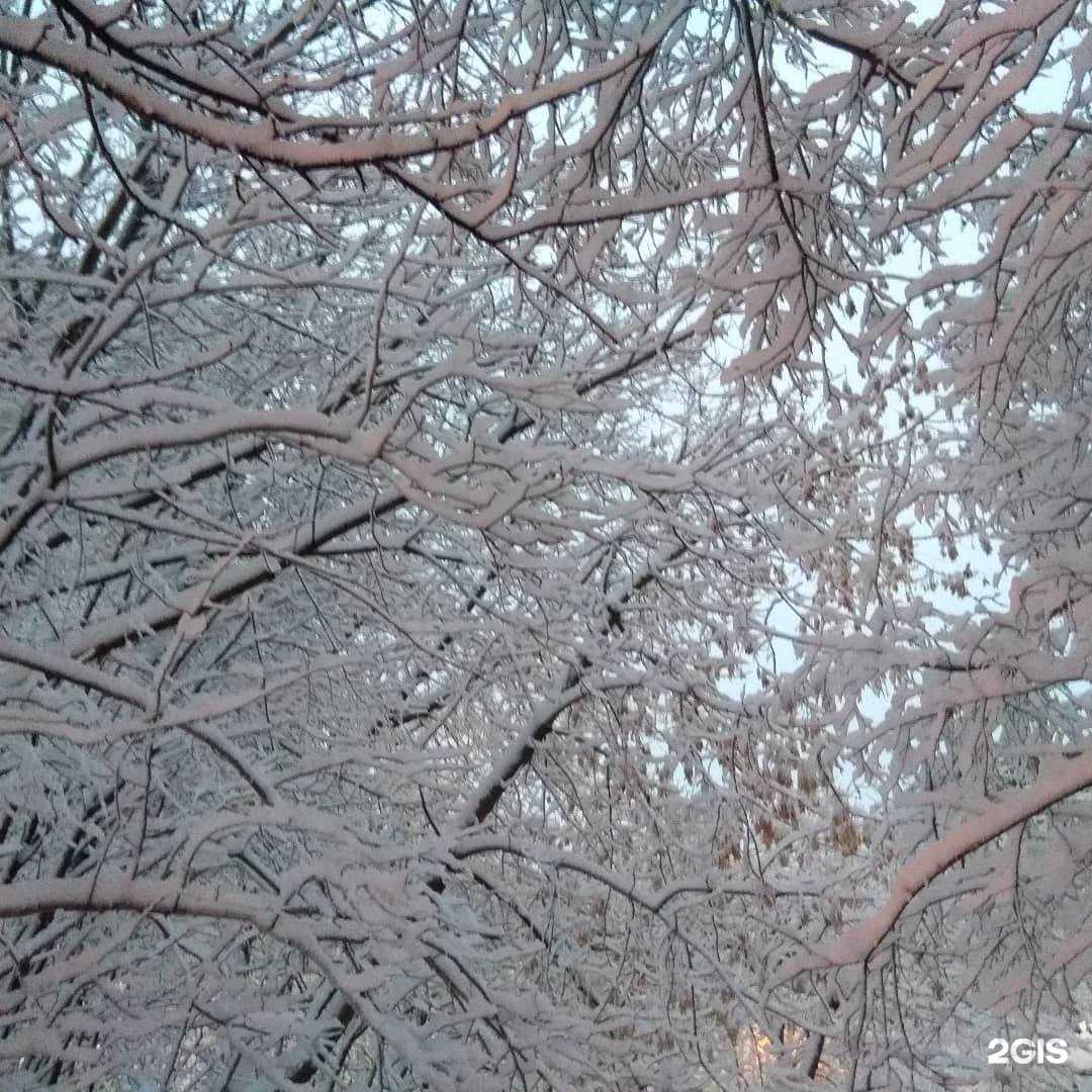 Отзывы на компанию Алекс в Королёве c фото