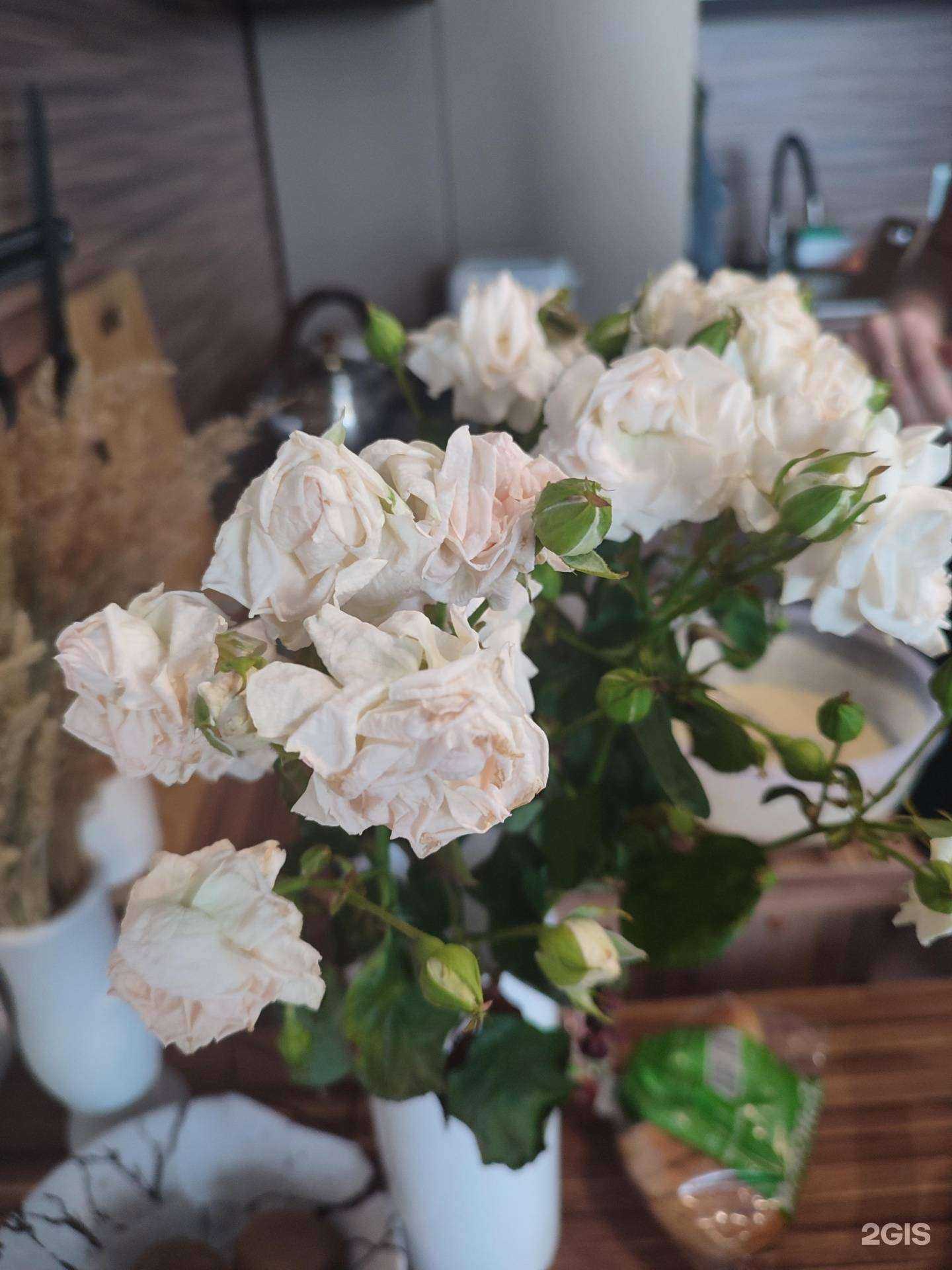 Отзывы на компанию Ирис в г. Рязань c фото