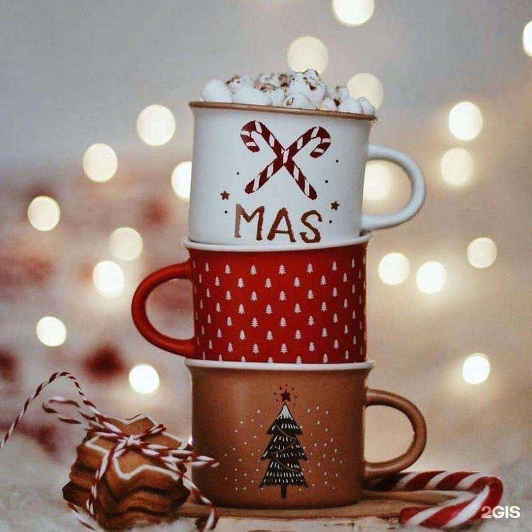 Отзывы на компанию City studio в г. Абакан c фото