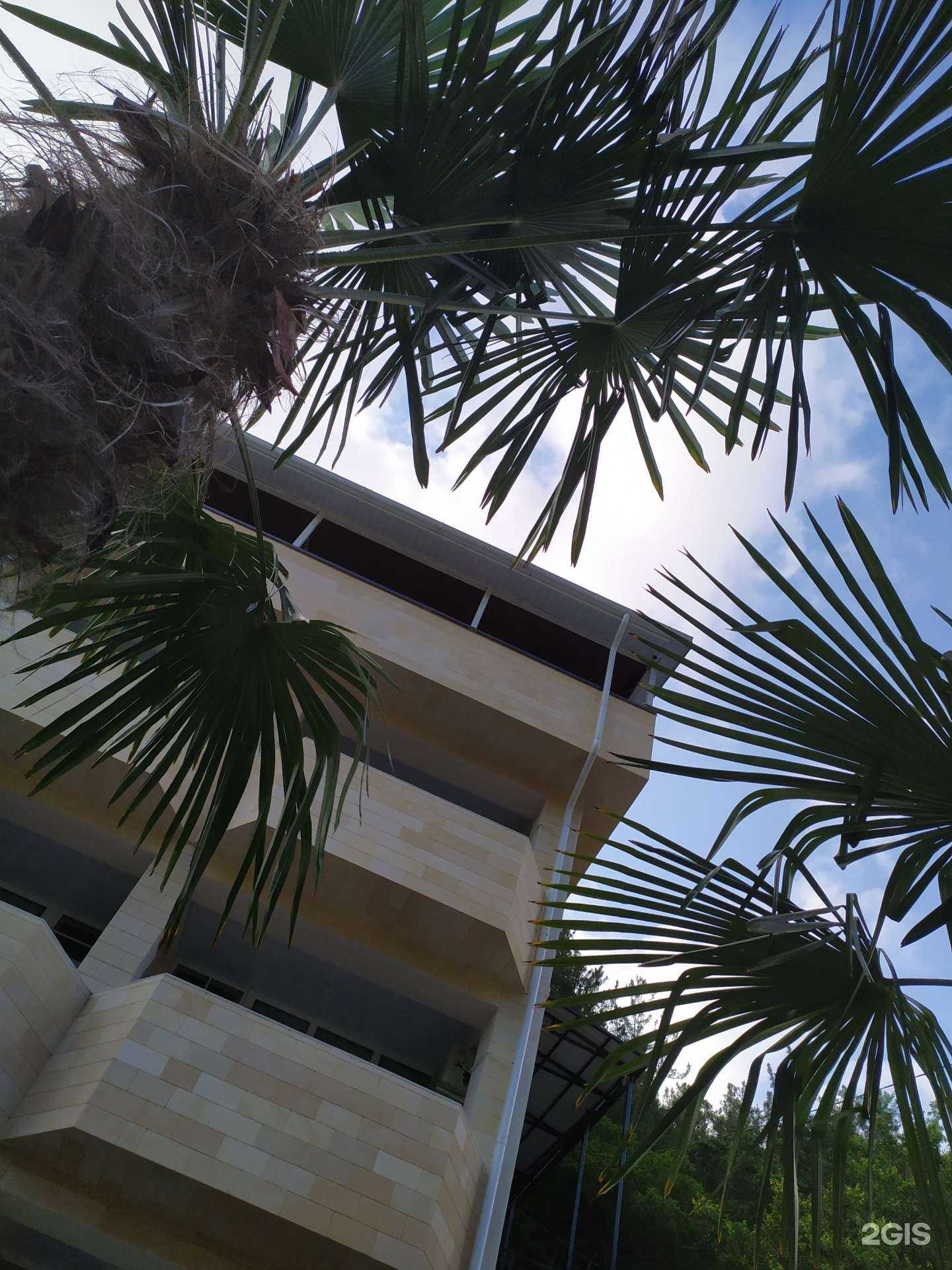 Отзывы на компанию Shik в Сочи c фото